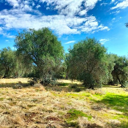 Agriturismo Lillastro Braccagni Eksteriør bilde