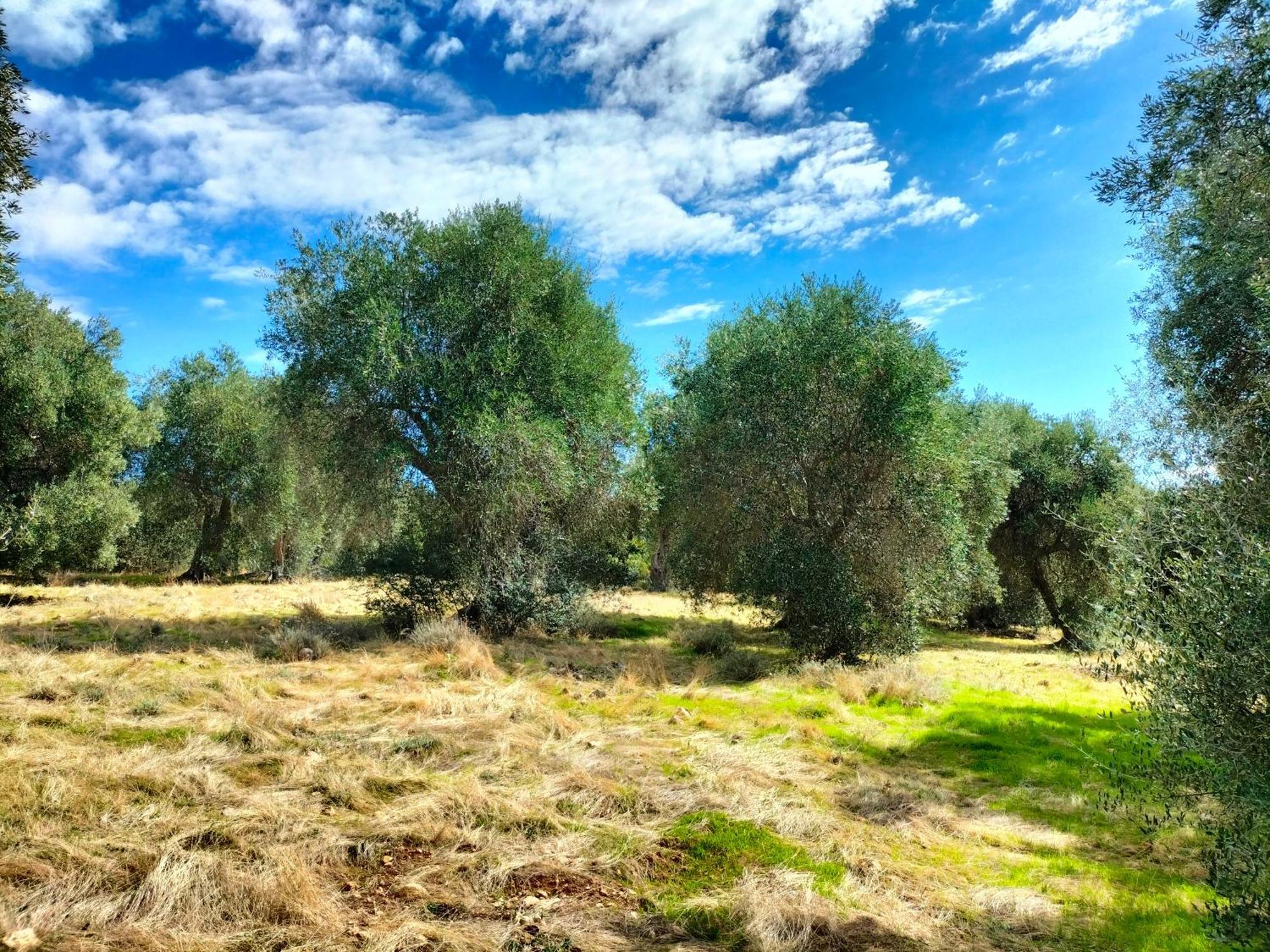 Agriturismo Lillastro Braccagni Eksteriør bilde