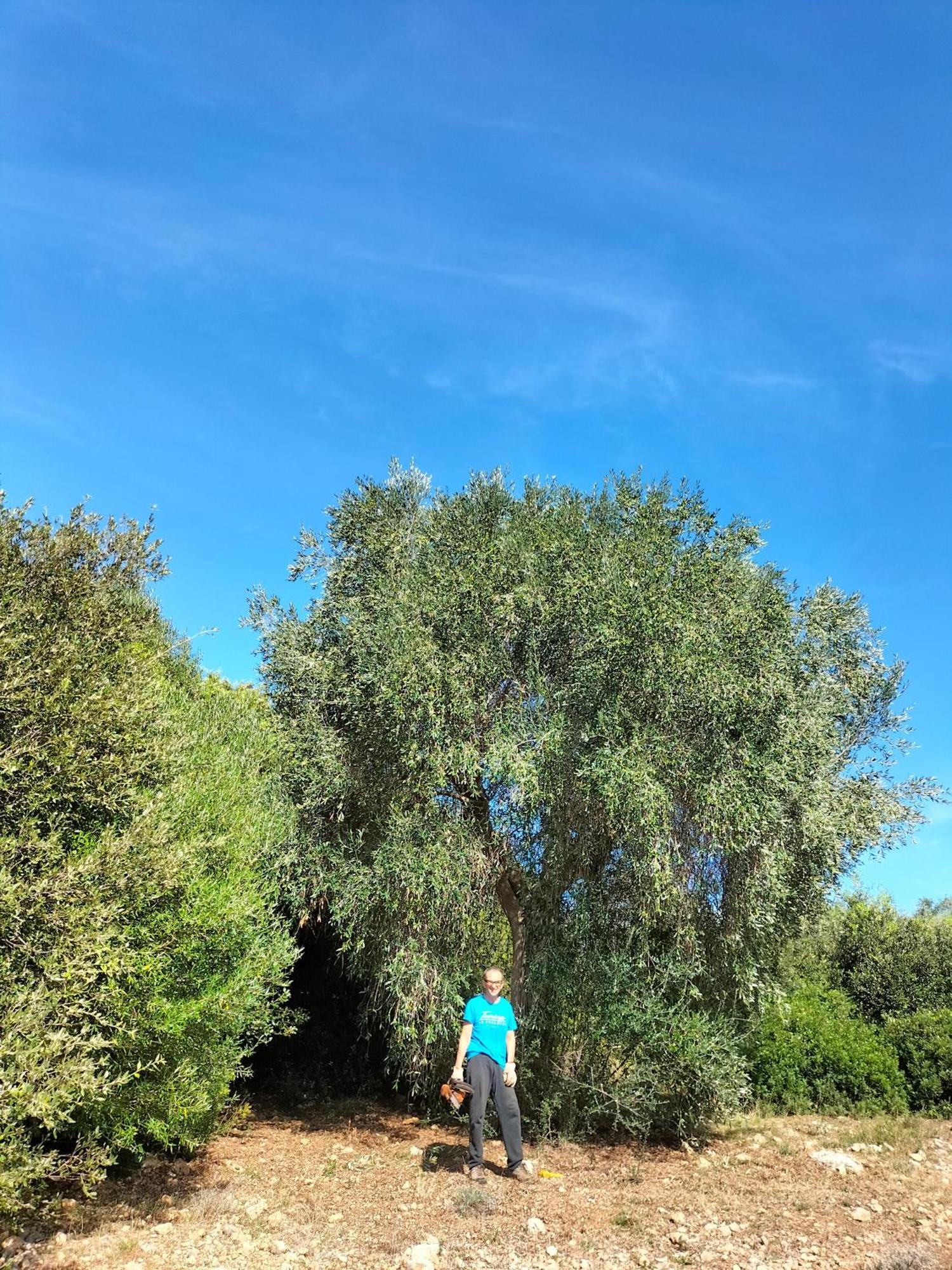 Agriturismo Lillastro Braccagni Eksteriør bilde