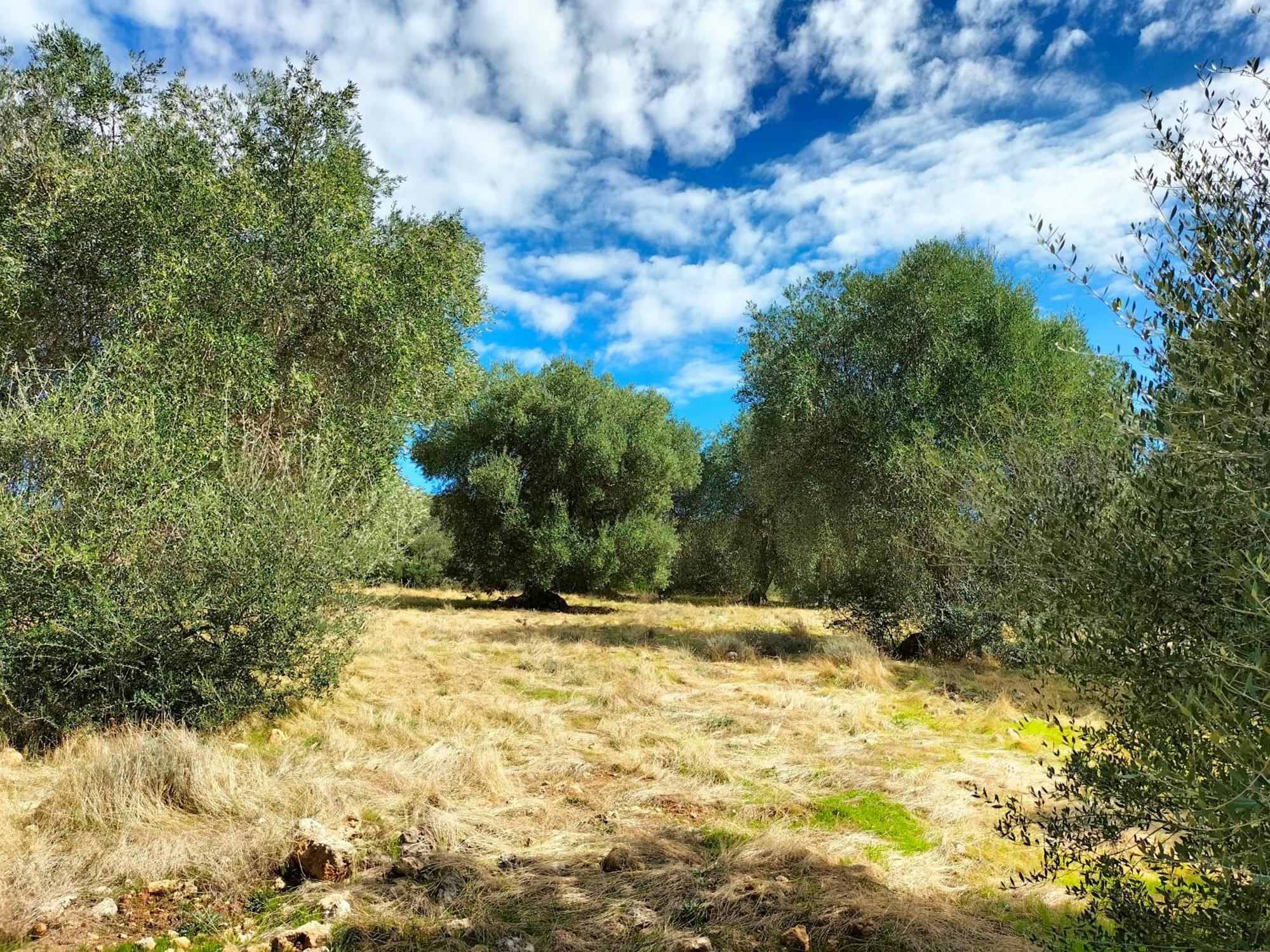 Agriturismo Lillastro Braccagni Eksteriør bilde