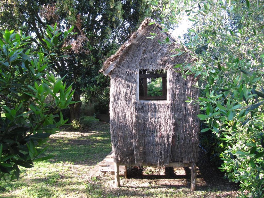 Agriturismo Lillastro Braccagni Eksteriør bilde